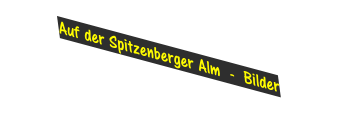 Auf der Spitzenberger Alm  -  Bilder